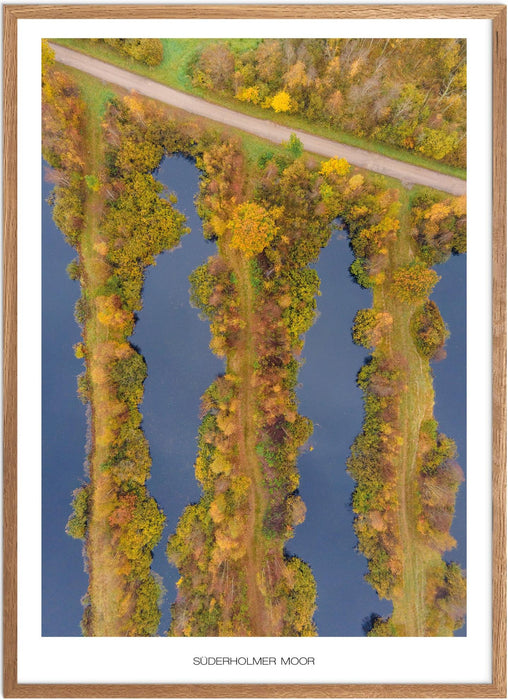 Süderholmer Moor No. 1 Poster