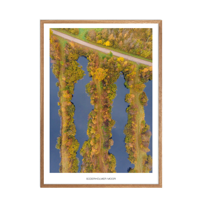 Süderholmer Moor No. 1 Poster