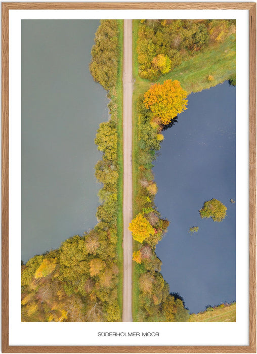 Süderholmer Moor No. 2 Poster