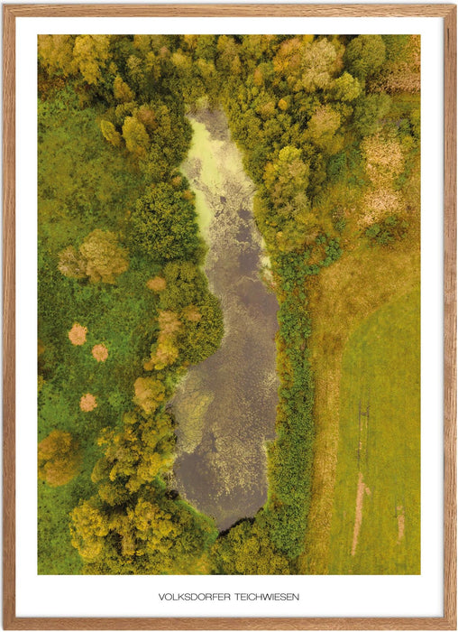 Volksdorfer Teichwiesen No. 2 Poster
