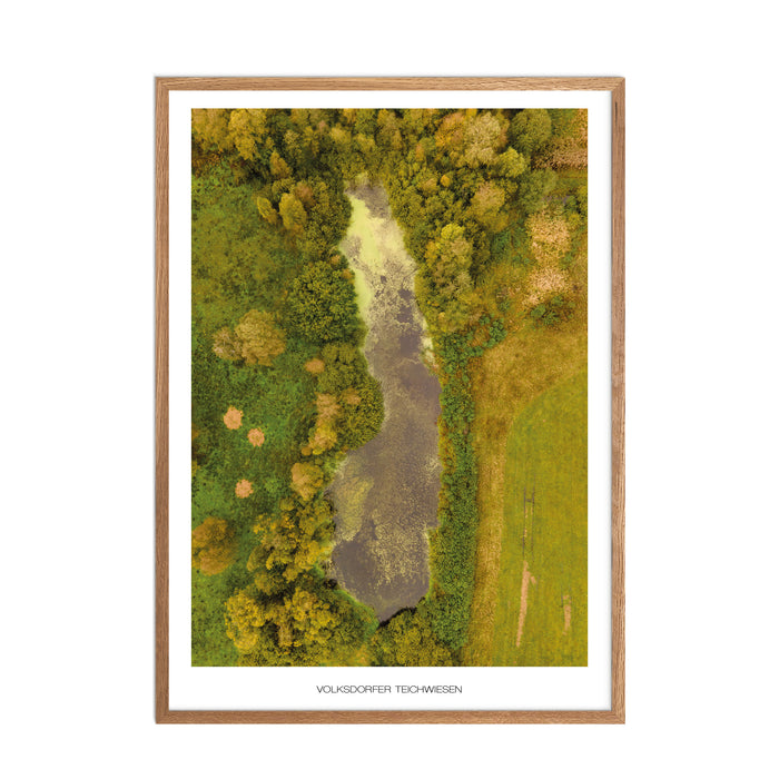 Volksdorfer Teichwiesen No. 2 Poster