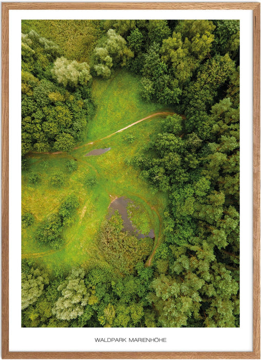 Waldpark Marienhöhe No. 2 Poster