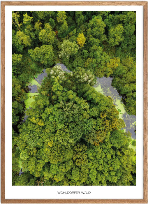 Wohldorfer Wald No. 1 Poster