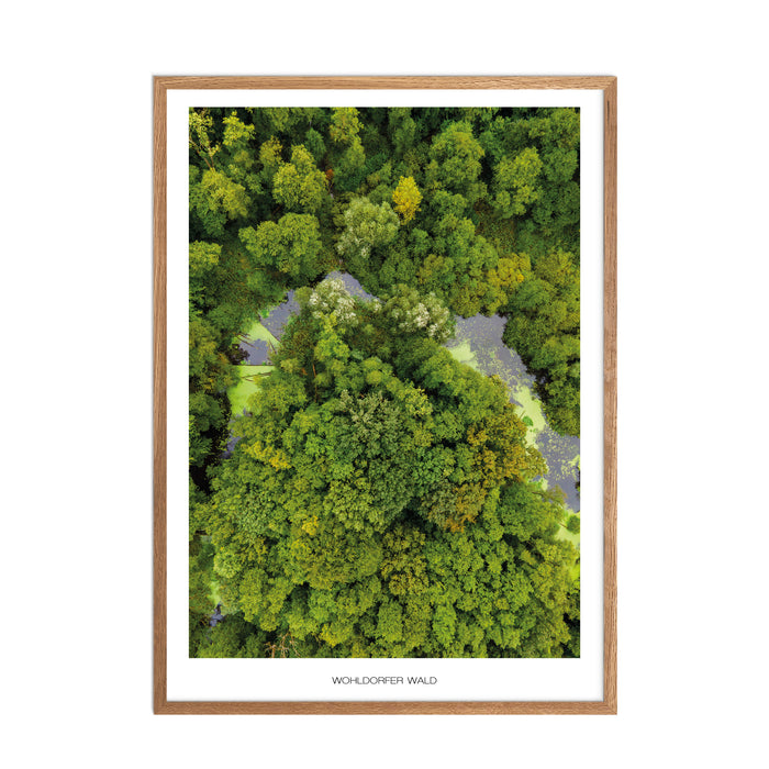 Wohldorfer Wald No. 1 Poster