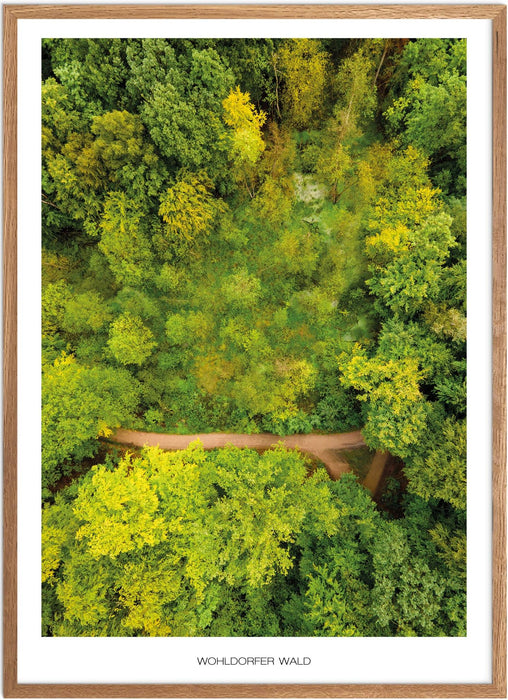 Wohldorfer Wald No. 2 Poster