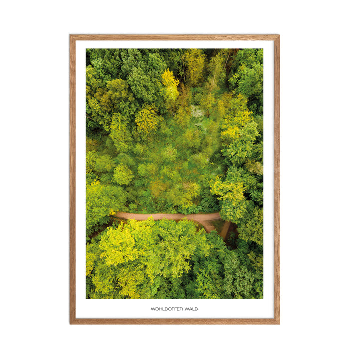 Wohldorfer Wald No. 2 Poster